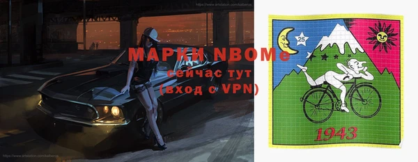 стафф Осташков