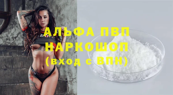 стафф Осташков