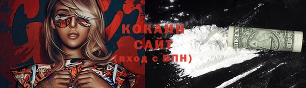 шишки Няндома