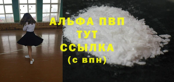 стафф Осташков