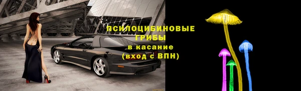 таблы Новодвинск