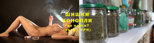 стафф Осташков