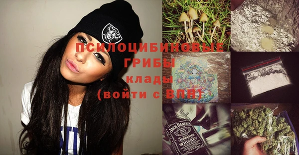 стафф Осташков