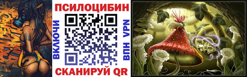 Псилоцибиновые грибы Psilocybine cubensis  Белоярский 